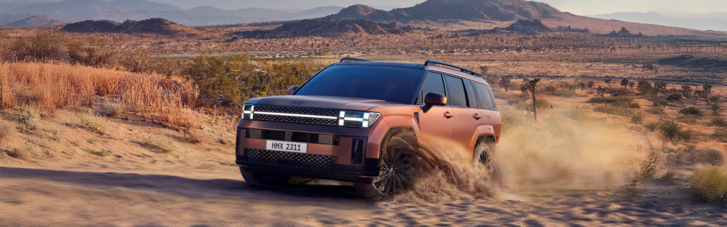 Le Hyundai Santa Fe roulant de la sable
