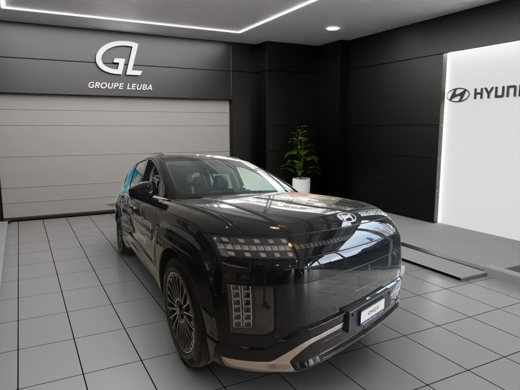 Ioniq 9 110kWh Vertex Caligraphy 4WD