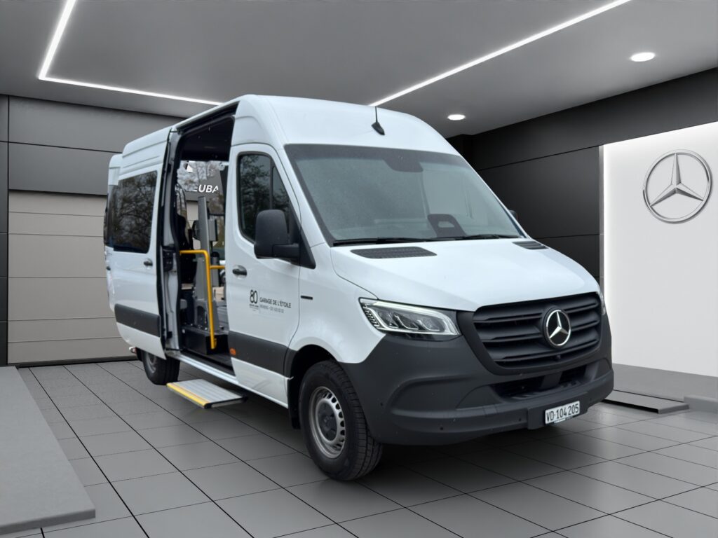 eSprinter TPMR PRO KA 3665 Worker