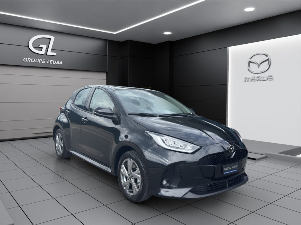 2 Hybrid Exclusive-line