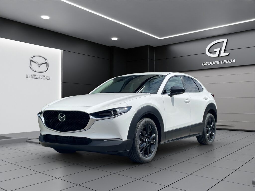 CX-30 SKYACTIV-X 186 M Hybrid Homura AWD AT