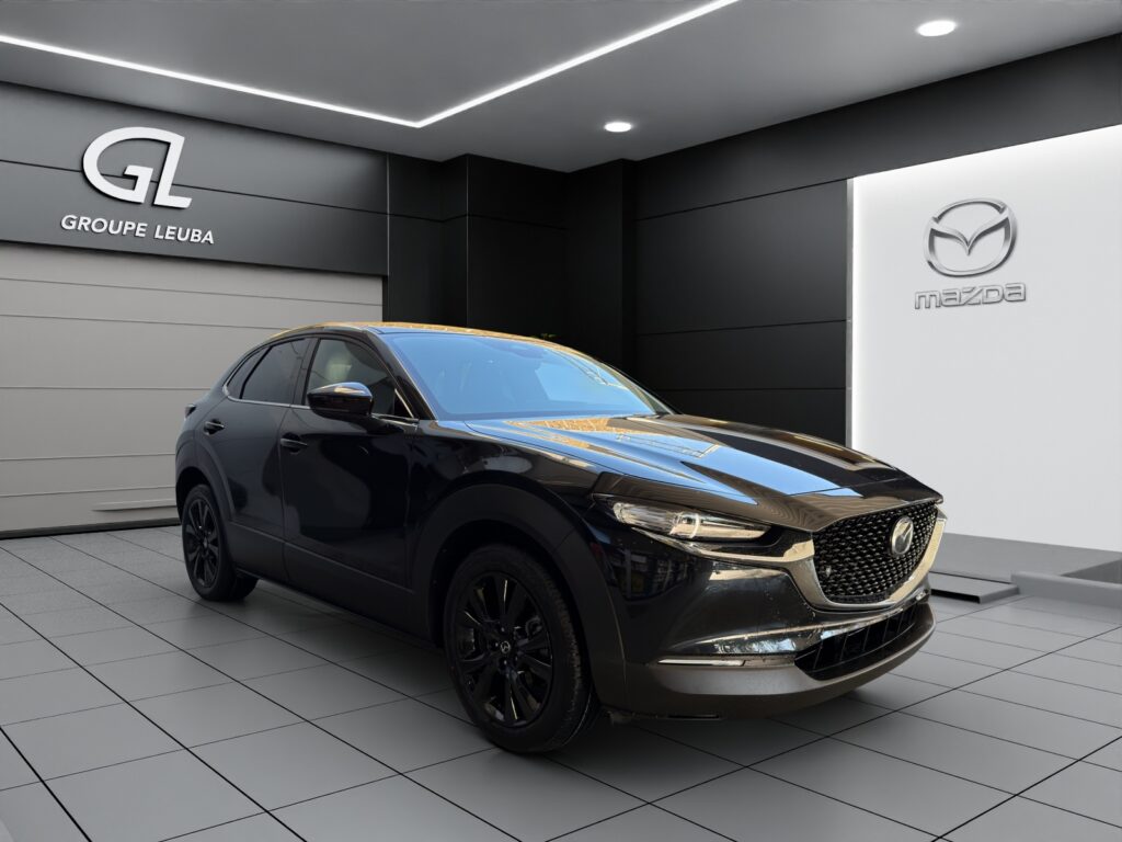 CX-30 SKYACTIV-X 186 M Hybrid Homura FWD AT