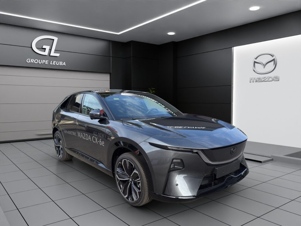 LVRHDCEK0TN401742