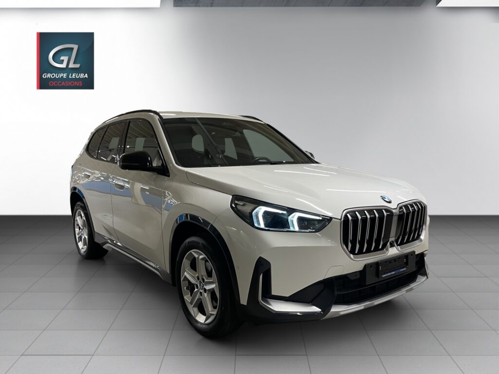 X1 xDrive 20d 48V