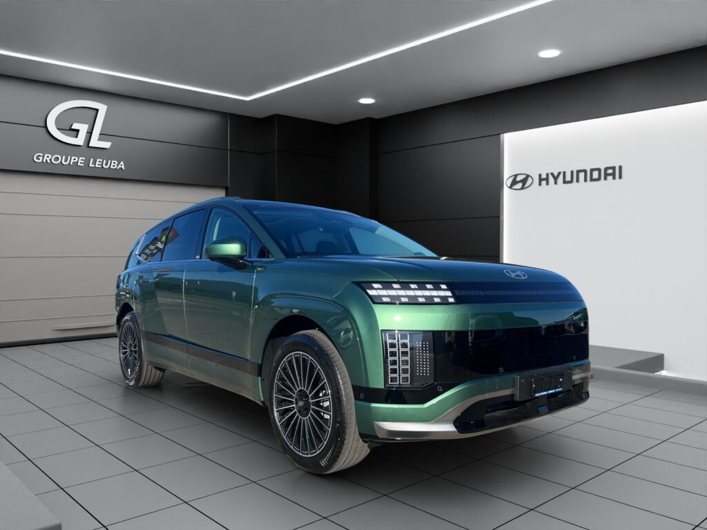 Ioniq 9 110kWh Vertex Caligraphy 4WD