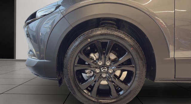 MAZDA CX-30 SKYACTIV-X 186 M Hybrid Nagisa AWD AT