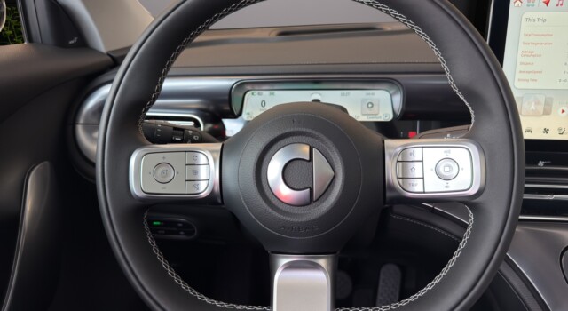 SMART 1 # 66 kWh Pulse AWD