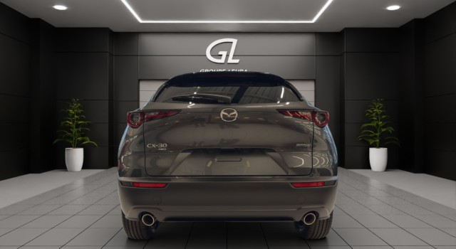 MAZDA CX-30 SKYACTIV-X 186 M Hybrid Nagisa AWD AT