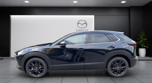 MAZDA CX-30 SKYACTIV-G 140 M Hybrid Homura FWD AT