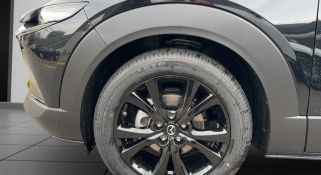 MAZDA CX-30 SKYACTIV-X 186 M Hybrid Homura AWD AT