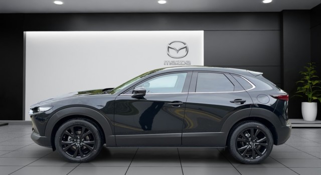 MAZDA CX-30 SKYACTIV-X 186 M Hybrid Homura AWD AT