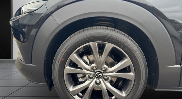 MAZDA CX-30 SKYACTIV-X 186 M Hybrid Exclusive Line AWD AT