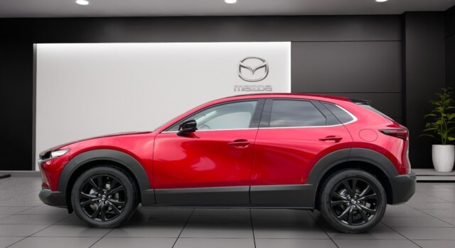 MAZDA CX-30 SKYACTIV-G 140 M Hybrid Homura FWD AT