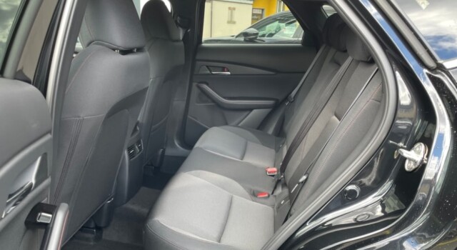 MAZDA CX-30 SKYACTIV-G 140 M Hybrid Homura FWD AT