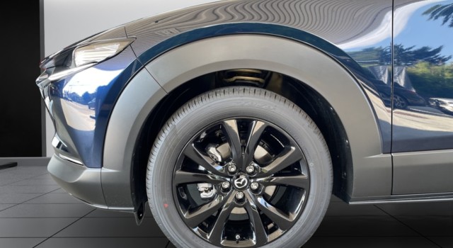 MAZDA CX-30 SKYACTIV-X 186 M Hybrid Homura AWD AT