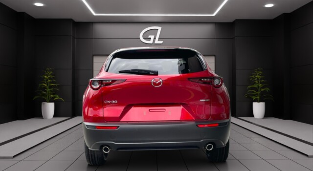 MAZDA CX-30 SKYACTIV-G 140 M Hybrid Homura FWD AT