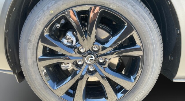 MAZDA CX-30 SKYACTIV-G 140 M Hybrid Homura FWD AT