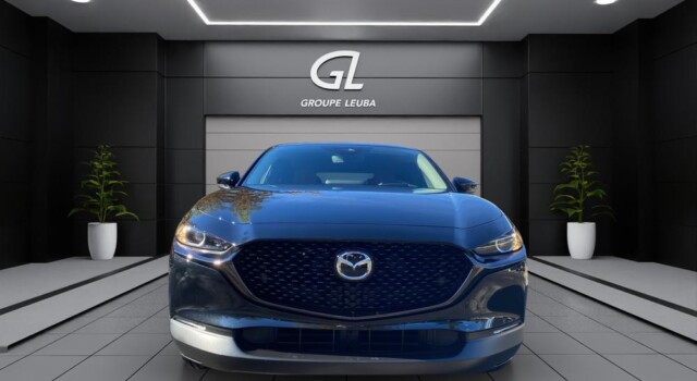 MAZDA CX-30 SKYACTIV-G 140 M Hybrid Nagisa FWD AT