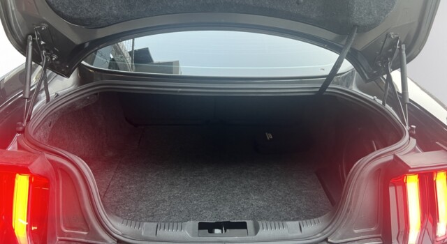 FORD MUSTANG Fastback 5.0 V8 GT Automat