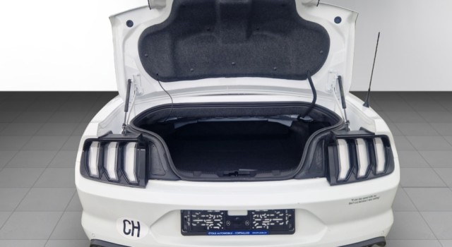 FORD MUSTANG Convertible 5.0 V8 GT Automat