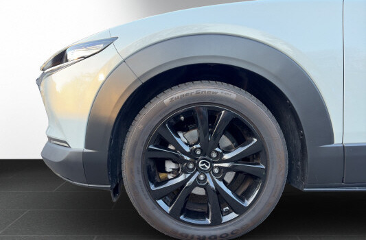 MAZDA CX-30 X 186 Homura AWD AT