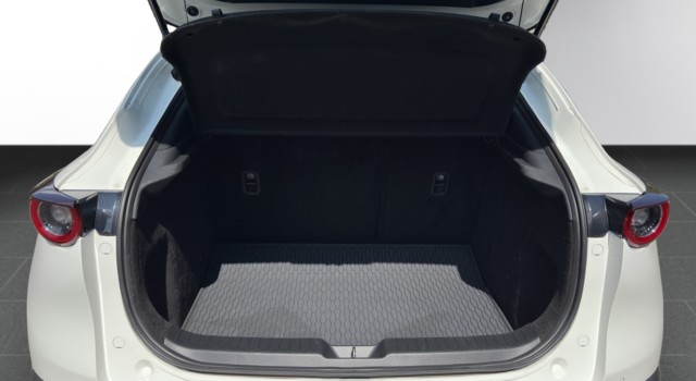 MAZDA CX-30 G 122 Ambition