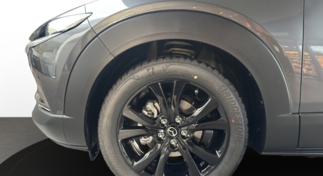 MAZDA CX-30 SKYACTIV-X 186 M Hybrid Homura AWD AT