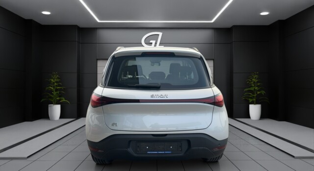 SMART 1 # 66kWh Pure+