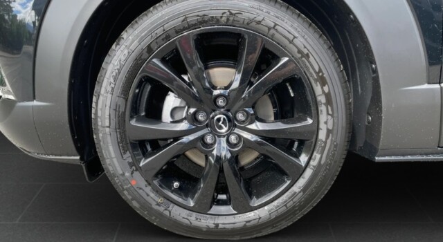 MAZDA CX-30 SKYACTIV-X 186 M Hybrid Homura AWD AT