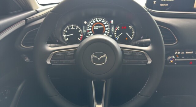 MAZDA CX-30 SKYACTIV-X 186 M Hybrid Homura AWD AT