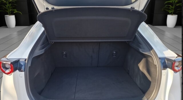 MAZDA CX-30 SKYACTIV-X 186 M Hybrid Exclusive Line AWD AT