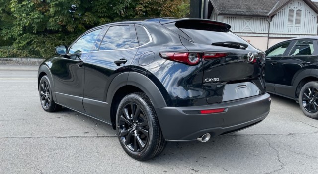 MAZDA CX-30 SKYACTIV-G 140 M Hybrid Homura FWD AT