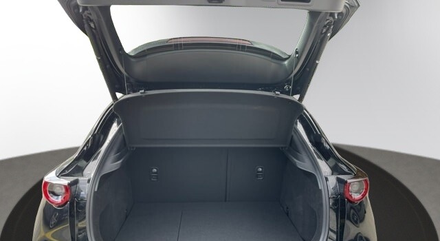 MAZDA CX-30 SKYACTIV-X 186 M Hybrid Homura AWD AT