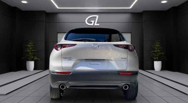 MAZDA CX-30 SKYACTIV-G 140 M Hybrid Homura FWD AT