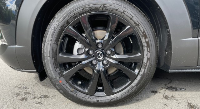 MAZDA CX-30 SKYACTIV-G 140 M Hybrid Homura FWD AT