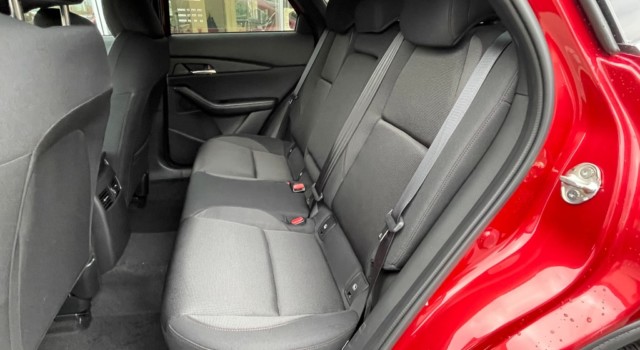 MAZDA CX-30 SKYACTIV-X 186 M Hybrid Homura AWD AT