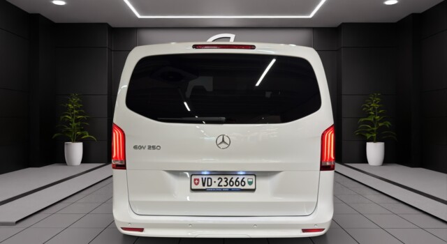 MERCEDES-BENZ EQV 250 lang