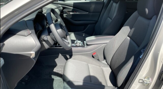 MAZDA CX-30 SKYACTIV-G 140 M Hybrid Homura FWD AT