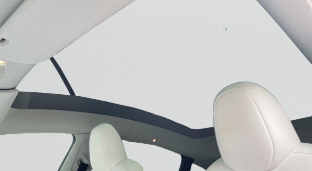 TESLA MODEL Y Long Range