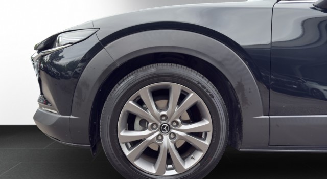MAZDA CX-30 G 122 RevolutionAWD