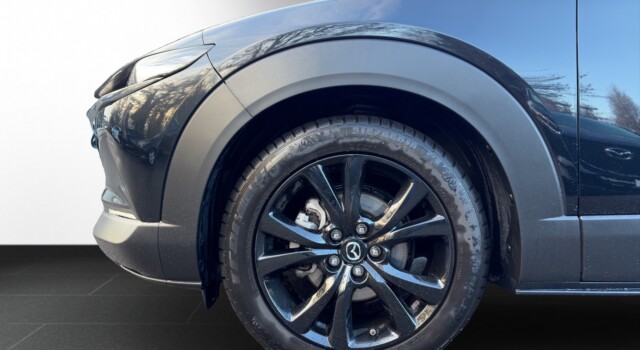 MAZDA CX-30 X 186 Homura AWD AT