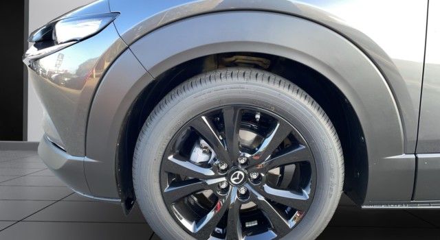 MAZDA CX-30 SKYACTIV-X 186 M Hybrid Homura AWD AT