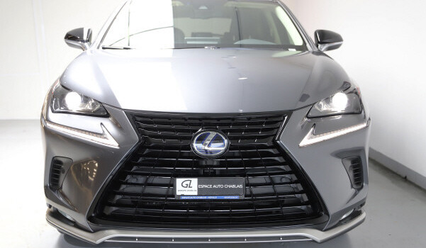 LEXUS NX 300h Celebrating 30