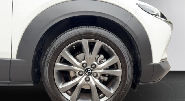 MAZDA CX-30 X 186 Takumi AWD