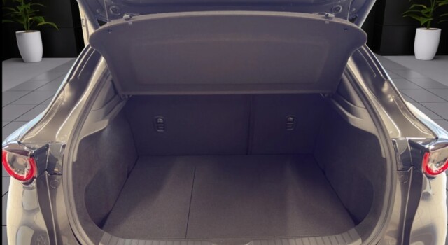 MAZDA CX-30 SKYACTIV-G 140 M Hybrid Nagisa FWD AT