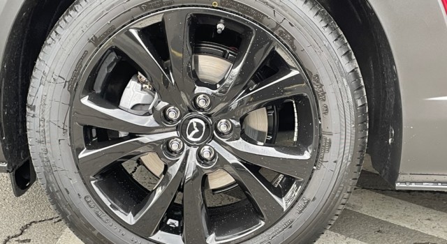 MAZDA CX-30 SKYACTIV-X 186 M Hybrid Homura AWD AT
