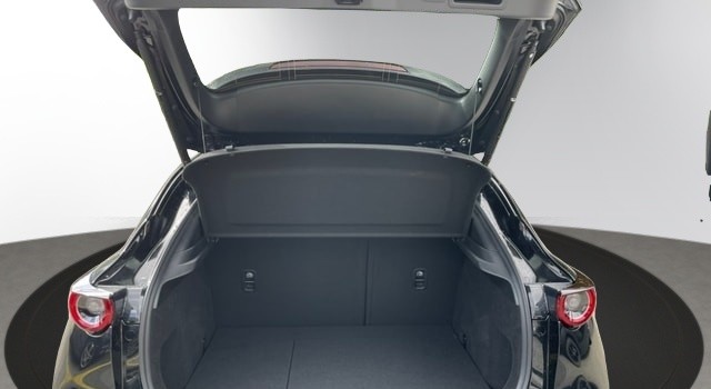 MAZDA CX-30 SKYACTIV-X 186 M Hybrid Homura AWD AT
