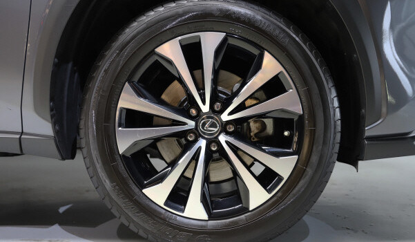 LEXUS NX 300h Celebrating 30