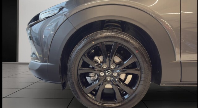 MAZDA CX-30 SKYACTIV-X 186 M Hybrid Nagisa FWD AT