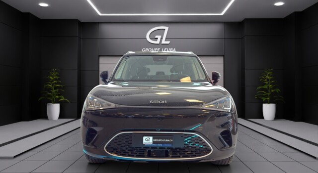 SMART 1 # 66 kWh Pulse AWD